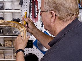 Professional & Specialist Services